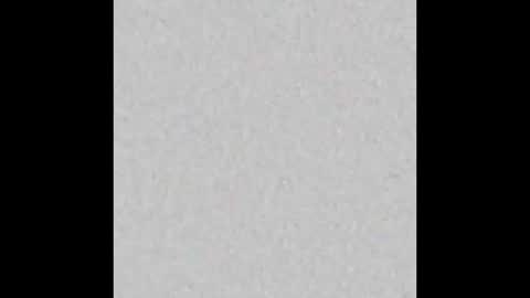 Charlotte online show from 11.20.25