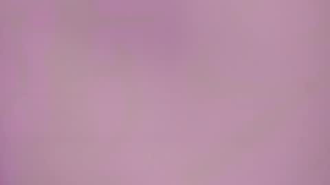 Charlotte Icee online show from 02.17.26