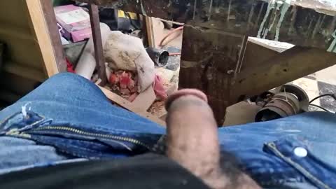 Parcero online show from 09.09.25