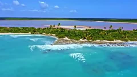 Sam online show from 12.19.24