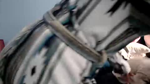 Chelsea online show from 01.09.26