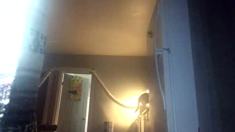 chenovich online show from 11.27.25