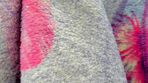 Snapshot of cherry_pussy1 chatting on 10.06.25 Mia online show from 10.06.25