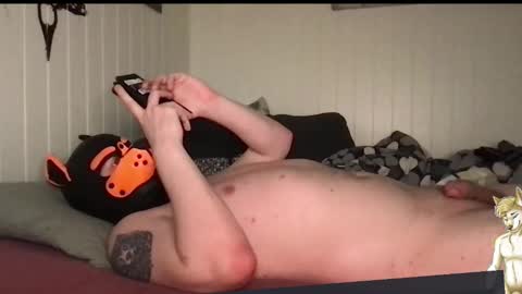 ChestBellyFetish online show from 03.28.26