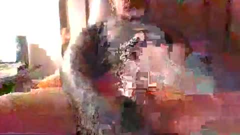 Snapshot of chikoink43 chatting on 12.31.24 chikoink43 online show from 12.31.24