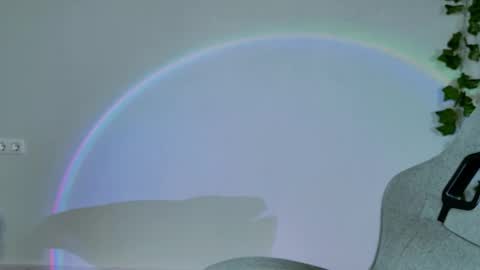 Bella online show from 02.16.26