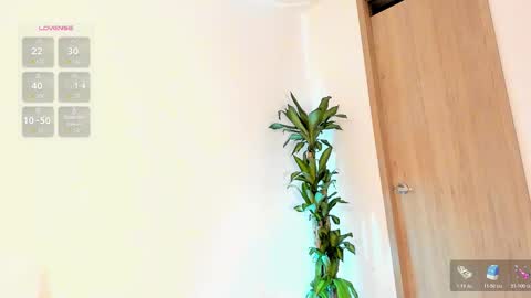    Schedule 7am to 2pm Col online show from 02.11.26