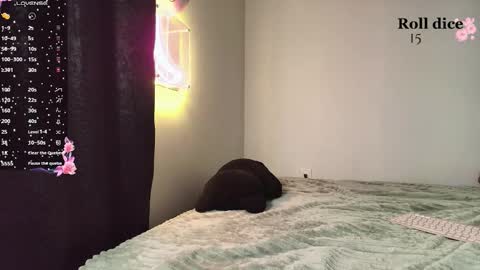 AMY online show from 02.27.26