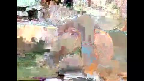 JANE online show from 01.18.25