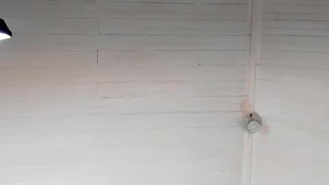 Chriz online show from 12.05.24