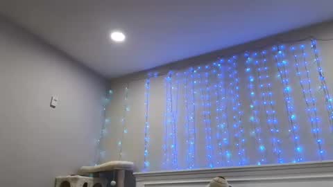 Christy Love online show from 12.29.24