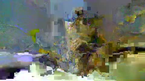 chuck354139 online show from 02.13.25