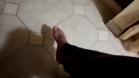 ciccilli online show from 11.05.25