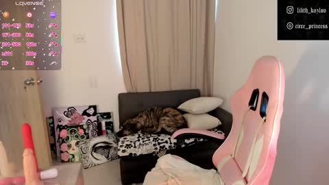 Snapshot of circe_l chatting on 11.06.25 Paulina online show from 11.06.25