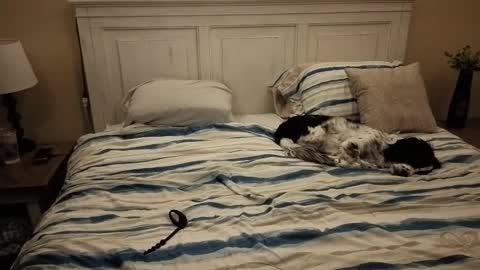 Snapshot of cking14340730238 chatting on 10.10.25 KingDing online show from 10.10.25