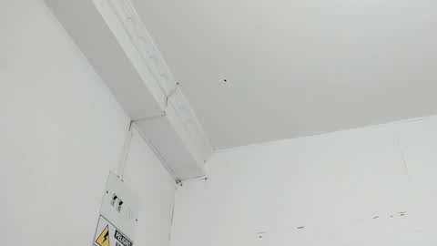          online show from 01.02.25