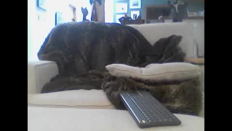 Snapshot of clitboy658752 chatting on 01.14.26 clitboy658752 online show from 01.14.26