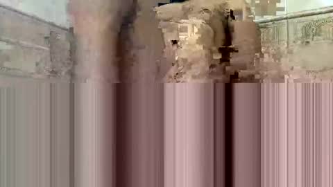 cockdoc4444 online show from 10.15.25