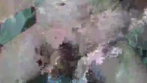 Snapshot of cogela_sin_miedo chatting on 10.06.25 cogela_sin_miedo online show from 10.06.25