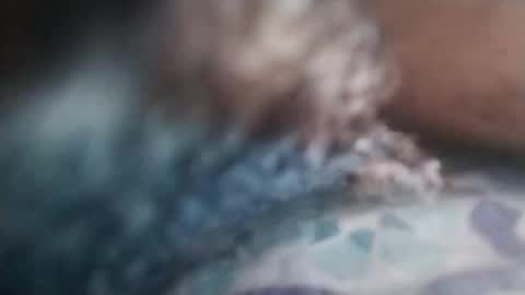 Snapshot of cojroymnamqm chatting on 11.07.25 cojroymnamqm online show from 11.07.25