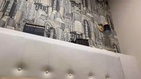 colambus83 online show from 04.23.26