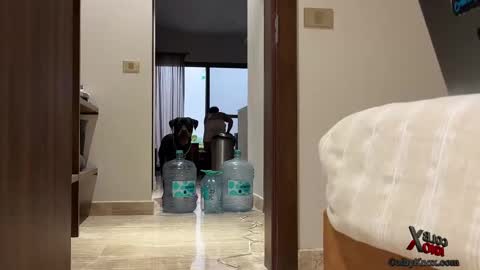 colbyknox online show from 09.20.25