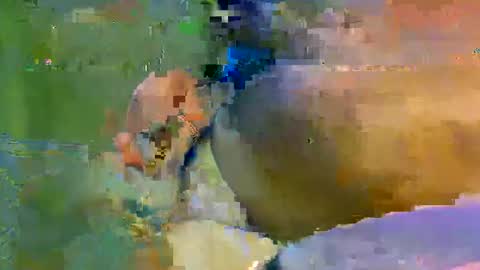 Snapshot of colourlight chatting on 11.09.25 colourlight online show from 11.09.25