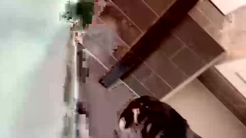 concernsburn online show from 01.07.26