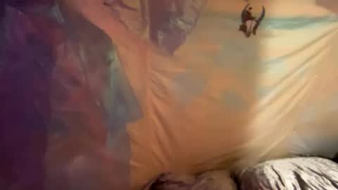 coochiechakrahealer online show from 12.30.24