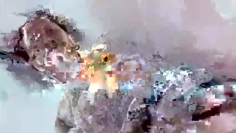 Mount N Drew online show from 11.17.25