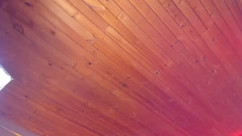 Snapshot of coraline_latin chatting on 01.18.25 Coraline online show from 01.18.25