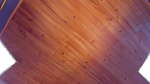 Snapshot of coraline_latin chatting on 01.24.25 Coraline online show from 01.24.25