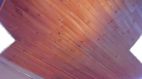 Snapshot of coraline_latin chatting on 01.25.25 Coraline online show from 01.25.25