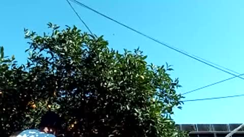 corpusrichard78 online show from 03.03.25