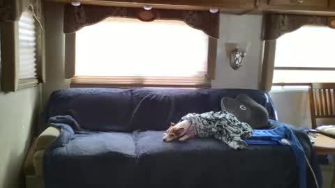 Snapshot of cosmicconnections chatting on 02.24.25 Chester Melissa online show from 02.24.25