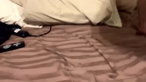 Countrystudd online show from 12.11.24