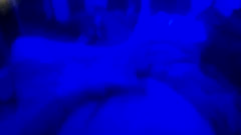 Countrystudd online show from 12.23.25