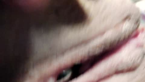 Im Courtney Nice to meet youFollow meInstagram courtneyluv778 online show from 01.30.25