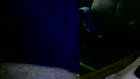 Snapshot of coyote017 chatting on 01.31.25 coyote017 online show from 01.31.25