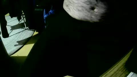 Snapshot of coyote017 chatting on 10.22.25 coyote017 online show from 10.22.25