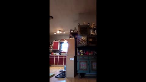 craig232301327629 online show from 01.09.26