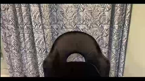 CreamOnMyCakes online show from 09.12.25