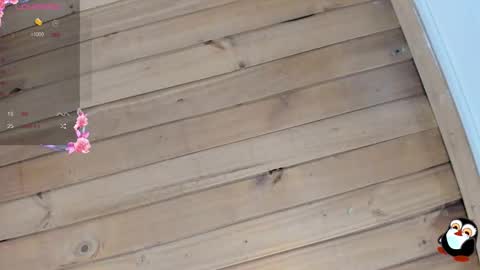 Cristal online show from 01.09.26