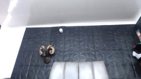 Snapshot of cristal_smith06 chatting on 03.15.26 Hanna online show from 03.15.26