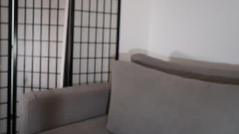 Laura online show from 01.17.26