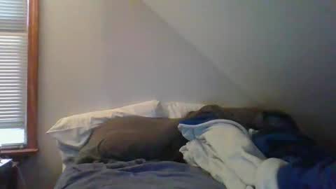 Crush380 online show from 03.01.26