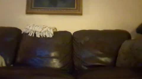 cubforotter online show from 10.19.25