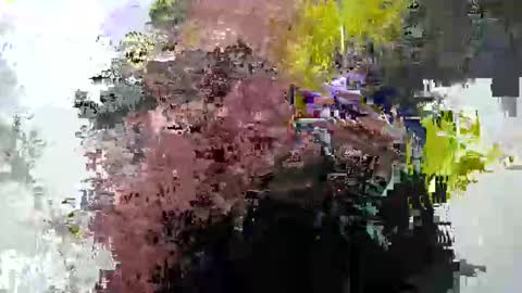 cummwitme211 online show from 02.25.25