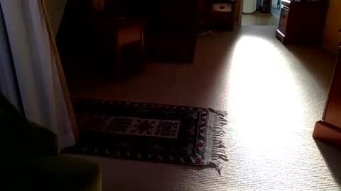 Snapshot of cumonherguys chatting on 10.28.25 cumonherguys online show from 10.28.25