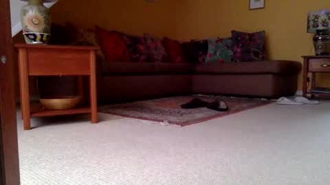 Snapshot of cumonherguys chatting on 11.06.25 cumonherguys online show from 11.06.25